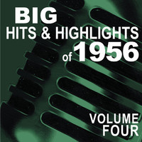 pochette album Cat came back