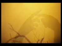 pochette album ...and bringer of sadness