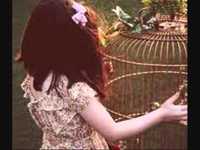 pochette album Cage within a cage...