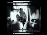 pochette album Die bruderschaft des schmerzes