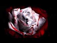 pochette album Memories are haunted places