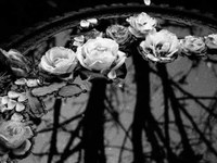 pochette album Omen sinistrum