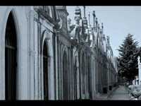 pochette album Only the dead in the mist