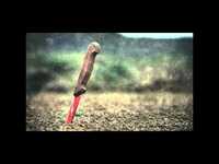 pochette album Grief machine