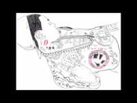 pochette album Twitter