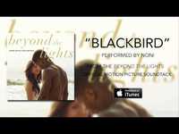 pochette album Blackbird