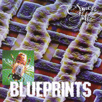 pochette album Tales of fruition