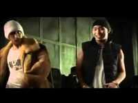 pochette album The show