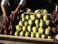 pochette album Angel's harp