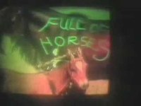 pochette album Babies on the sun