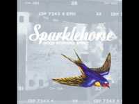 pochette album Chaos of the galaxy