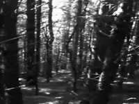 pochette album Happy man