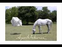 pochette album Too late