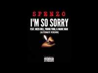 pochette album I'm so sorry (alternate version)