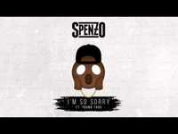 pochette album I'm so sorry