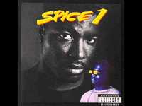 pochette album 1 - 800 - spice
