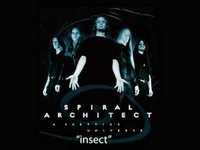 pochette album Insect