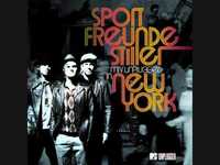 pochette album Was dein herz dir sagt