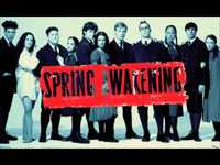 pochette album The song of purple summer