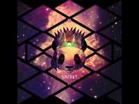 pochette album Shoulders