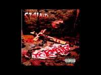 pochette album Tolerate