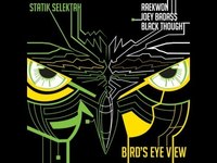 pochette album Bird's eye view