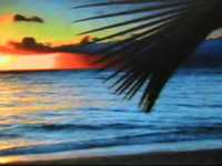 pochette album Nothing's gonna change my mind