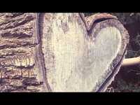 pochette album Love out loud