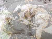 pochette album Sleep