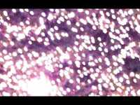 pochette album Show your light