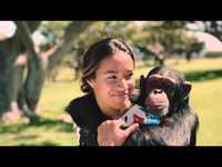 pochette album Can't go home