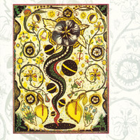 pochette album Hard - core troubadour