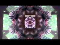 pochette album English kiss