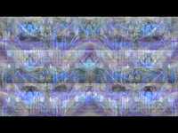 pochette album In the net