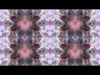 pochette album Life like love