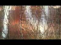 pochette album Seasick