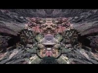 pochette album The neverness hoax