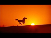 pochette album The temptation of st. anthony