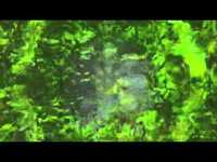 pochette album Trilemma