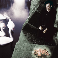 pochette album Loneliness