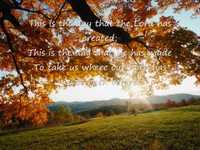 pochette album Living for the moment