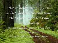 pochette album Only natural