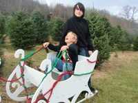 pochette album The music of christmas