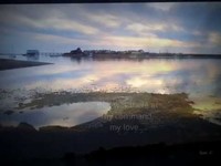 pochette album The first time ever i saw your face