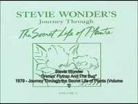 pochette album Venus' flytrap and the bug