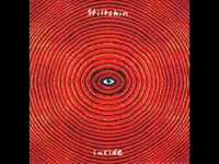 pochette album America