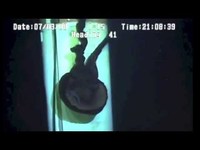 pochette album Come to me