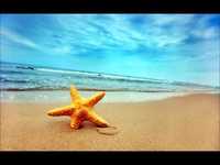 pochette album To the sea