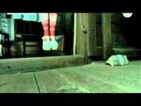 pochette album Viewed from the spire