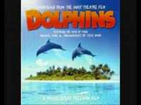 pochette album I need you like this hole in my head